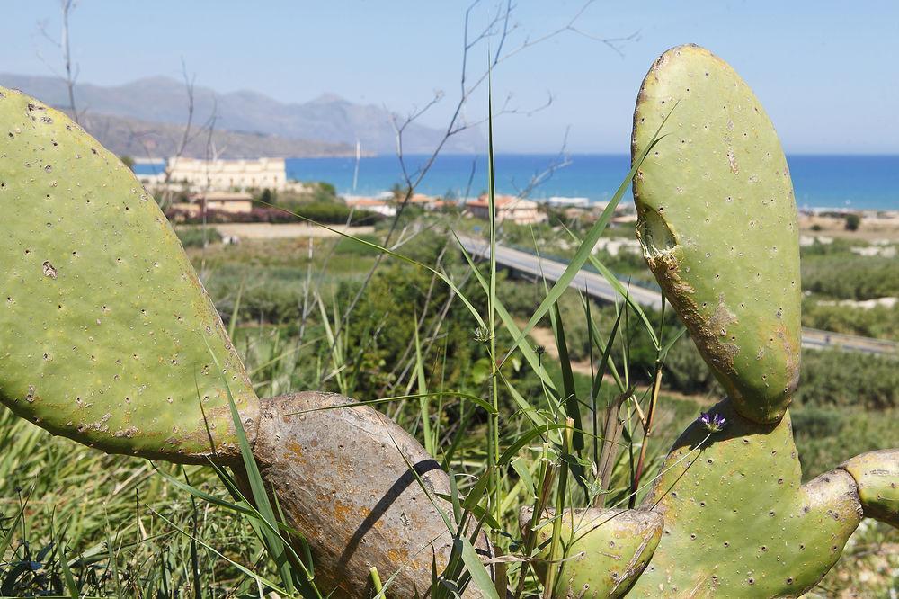 Appartaville Castellammare Del Golfo Luaran gambar